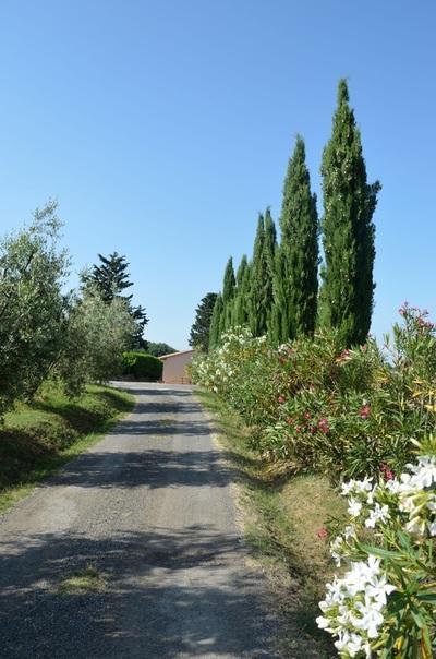 Agriturismo Rosa Dei Venti بومارانسي المظهر الخارجي الصورة